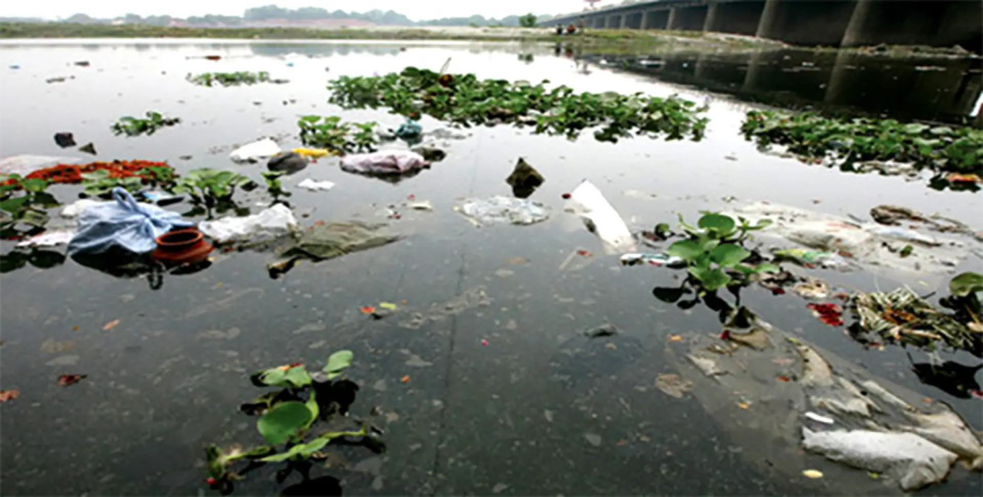 Is the Yamuna dying ?